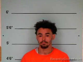 Mugshot of JONATHAN WILLIS