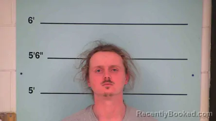 Mugshot of GREGORY WELLS