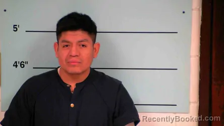 Mugshot of BERNARDO FLORES