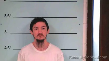Mugshot of KYLE STONE