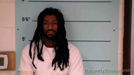 Mugshot of ELIJAH HAMLER