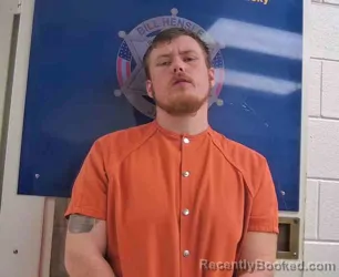 Mugshot of LAWSON NELSON