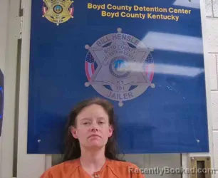 Mugshot of CANDICE MCELHINEY