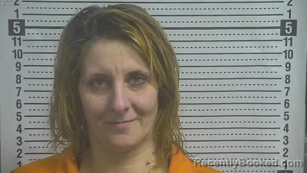 Mugshot of CHELSEA LERAE WALL