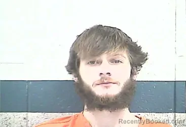 Mugshot of LEEDRICK ALAN LYONS