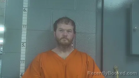 Mugshot of AARON B RAINES