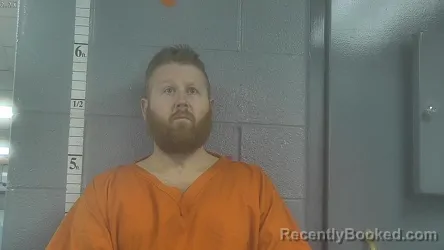 Mugshot of BRETT ALLAN HAMILTON