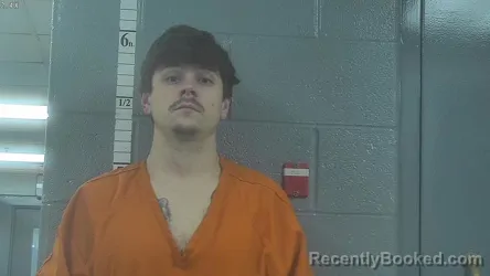 Mugshot of DOMINIC PANICCIA