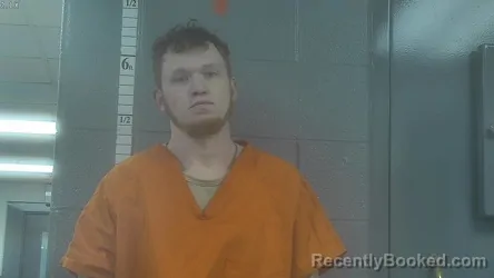 Mugshot of MICHAEL PATRICK DELVEAU