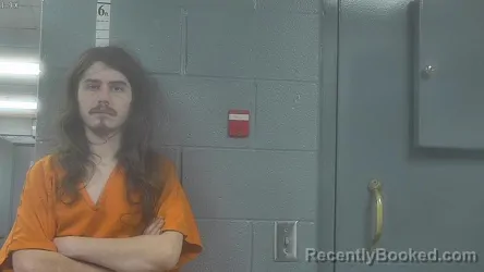 Mugshot of SETH LEE RAYBURN MCCUBBINS