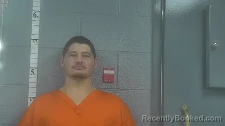 Mugshot of STEVEN BRIAN PIGG