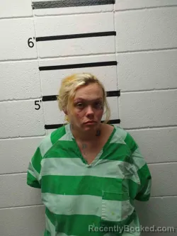 Mugshot of PAIGE HILL