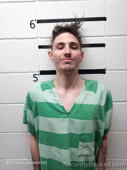 Mugshot of JOSEPH LANE