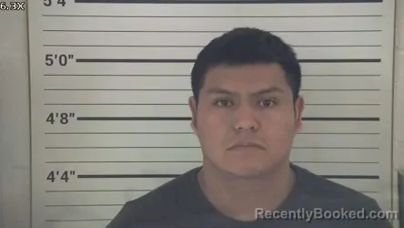 Mugshot of PATRICIO ISMAEL PABLO PEREZ