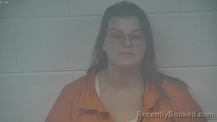 Mugshot of ASHLEY MAY JOHNSON