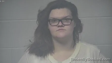 Mugshot of BRIDGETT R HOPKINS