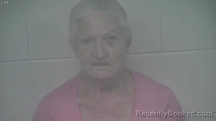 Booking photo from Carroll County, Kentucky