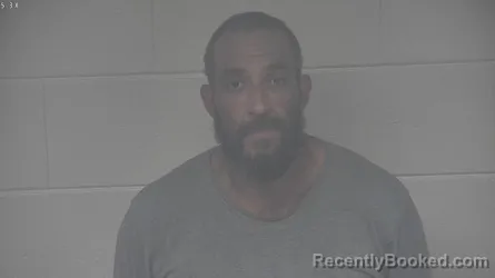 Mugshot of MICHAEL LYNN WHITIS