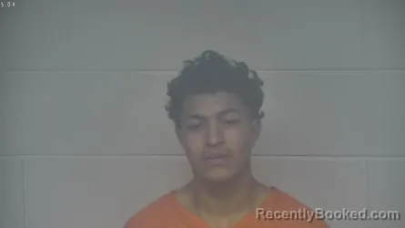 Mugshot of NELSON MALDONADO