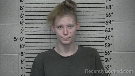 Mugshot of DIANNA L. MARTIN