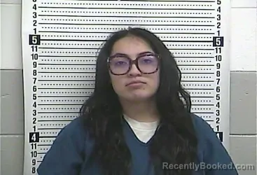 Mugshot of BIANCA HERNANDEZ-SAENZ