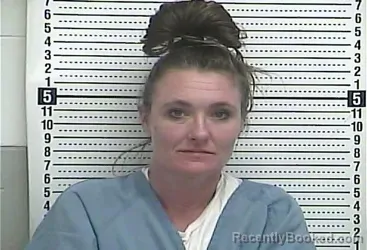 Mugshot of HEATHER ROBERTS