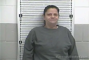 Mugshot of JULIE PERKINS