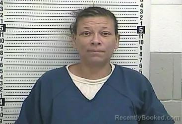 Mugshot of TARA L ARNETT
