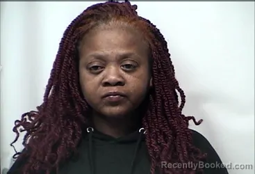 Mugshot of MARY SHAZA DULIN