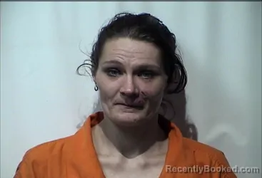 Mugshot of SHERRI NICOLE SCHULTZ