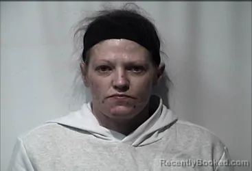 Mugshot of MELISSA ANNE HAYNES