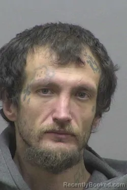 Mugshot of ROY MICHAEL HEAFNER