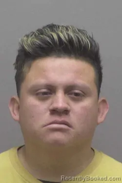 Mugshot of NERY ORLANDO ARGUETA