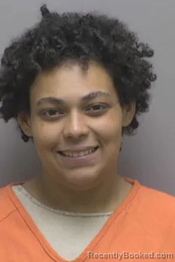 Mugshot of SKY ANASTASIA BARNES