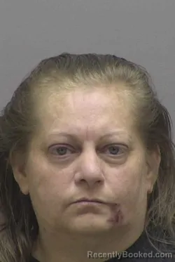 Mugshot of SUNSHINE VANVLERAH STRICKLAND