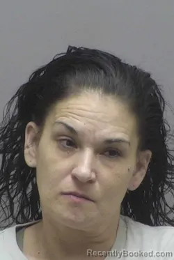 Mugshot of HANNAH MARIE DILLARD