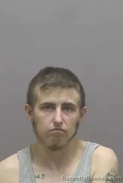 Mugshot of CHELSIE PAIGE GOINS