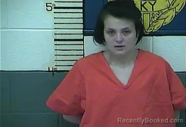 Booking photo from Clay County, Kentucky