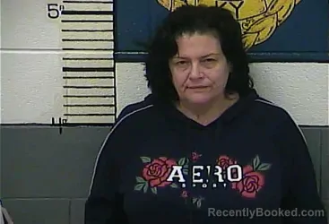 Mugshot of SHELLY R COLLINS