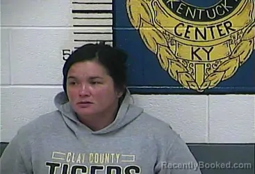 Mugshot of SONDRA LEWIS