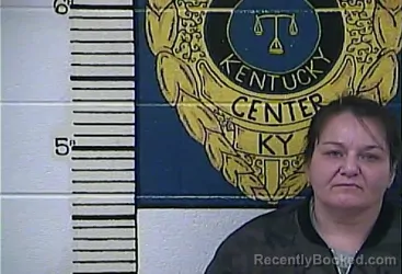 Mugshot of TINA L STIDHAM