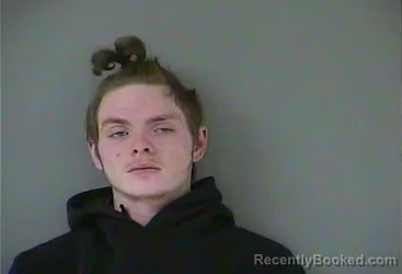Mugshot of Brandon D Watson