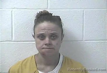Mugshot of ANGELICA LEE KIRK