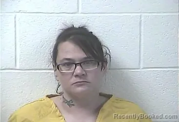 Mugshot of CHRISTINE LOUANN CURRY