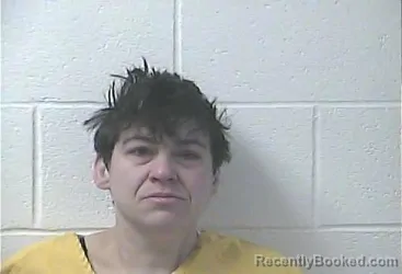 Mugshot of HEATHER LYNN RUSSELBURG