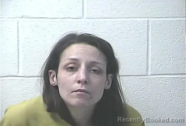 Mugshot of TERESA MICHELLE MCKINNEY