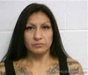 Mugshot of DANELLE KAY JIMENEZ