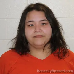 Mugshot of HANNAH MARIE HICKS