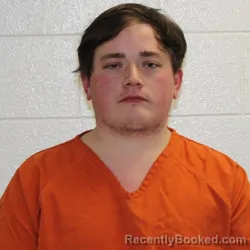 Mugshot of LARZ DAVID GOLDSWORTH