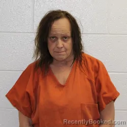 Mugshot of LAURA MARIE WILLIAMS